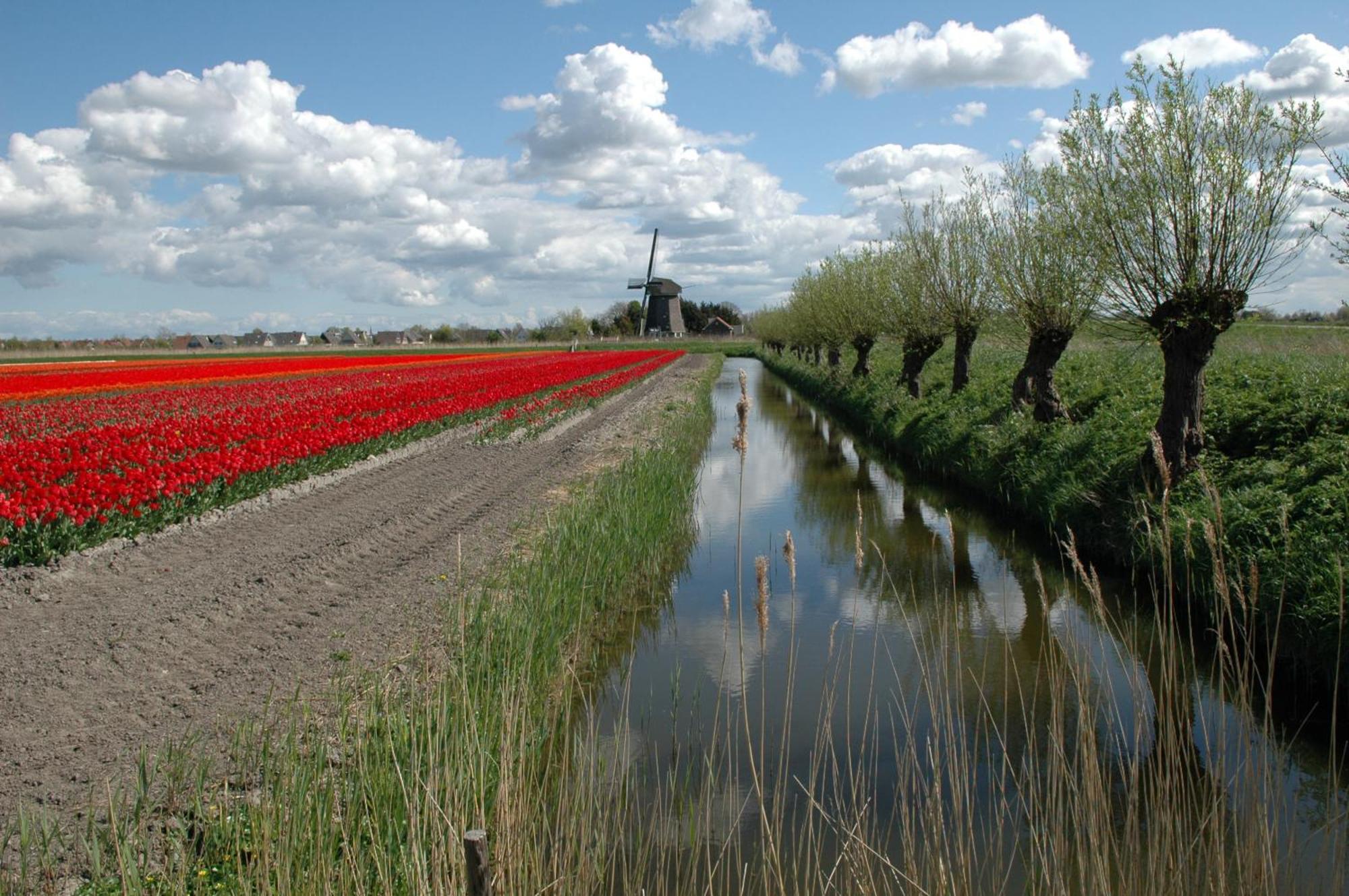 Hotelhuisjes Medemblik Верінгерверф Екстер'єр фото